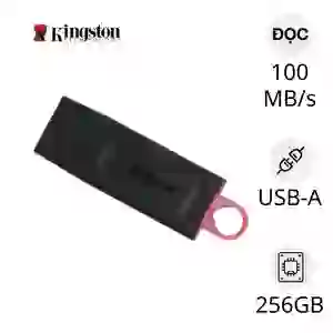 USB Kingston 3.2 DataTraveler Exodia DTX 256GB