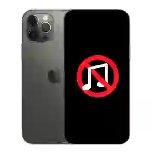Sửa âm thanh iPhone 12 Pro Max