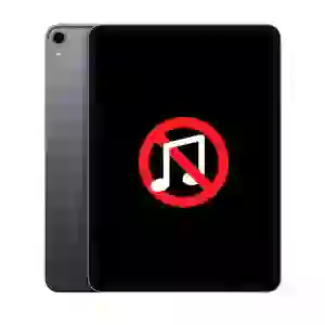 Sửa âm thanh iPad Pro 11 2018