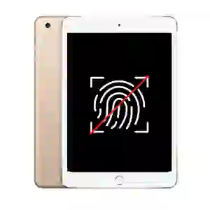 Sửa main - IC vân tay iPad Mini 4