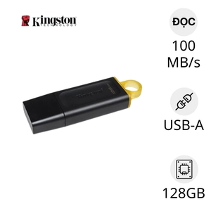 USB 128GB KingSton DTX 3.2 Gen 1