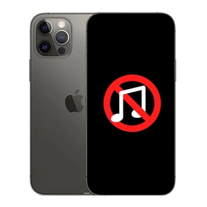 Linh kiện âm thanh iPhone 12 Pro Max