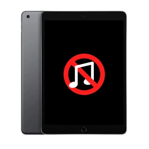 Linh kiện âm thanh iPad Gen 8