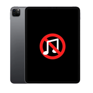 Linh kiện âm thanh iPad Pro 11 2020