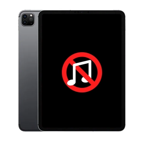 Linh kiện âm thanh iPad Pro 12.9 2020