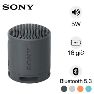 Loa Bluetooth Sony SRS-XB100 Extra Bass
