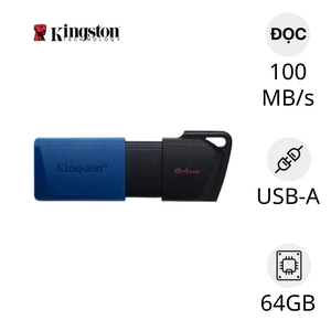 USB 3.2 Kingston DataTraveler Exodia DTXM 64GB