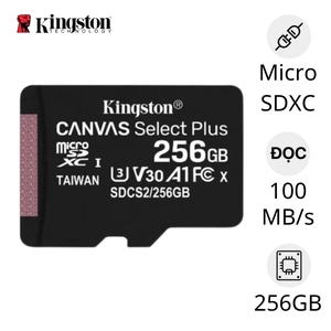 Thẻ nhớ Micro Kingston Class 10 256GB ( Không Adapter )