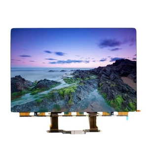 Linh kiện màn hình MacBook Pro 2018 13 inch A1989 màn rời chính hãng GENA
