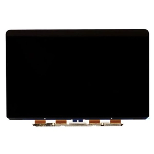 Linh kiện màn hình MacBook Pro 2019 16 inch A2141 màn rời chính hãng GENA