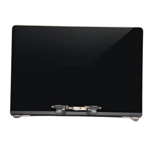 Linh kiện màn hình MacBook Pro 2017 15 inch A1707 màn rời chính hãng GENA
