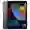 iPad Gen 9 10.2 inch 2021 4G 256GB - Cũ xước cấn - Xám