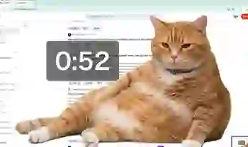 Cách cài đặt Cat Gatekeeper