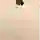 iPhone SE 16GB Cũ-Yellow