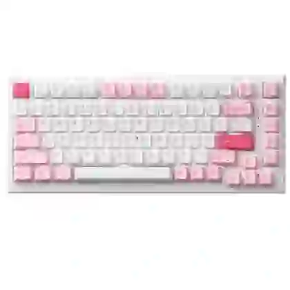 Bàn phím cơ AKKO Monsgeek MG75 Prunus Lannesiana 3