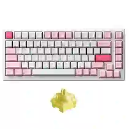 Bàn phím cơ AKKO Monsgeek MG75 Prunus Lannesiana 1