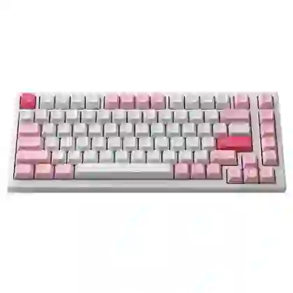 Bàn phím cơ AKKO Monsgeek MG75 Prunus Lannesiana 2