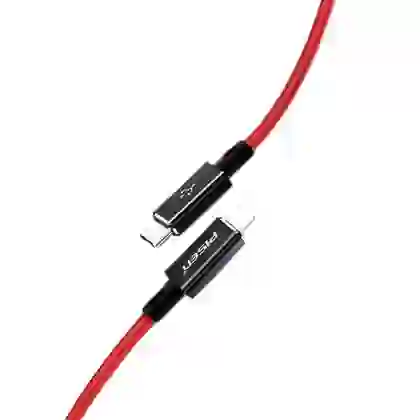 Cáp sạc nhanh Pisen Quick Platinum Type-C to Lightning 1M 2