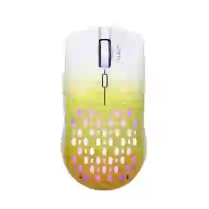 Chuột có dây Newmen M266 2