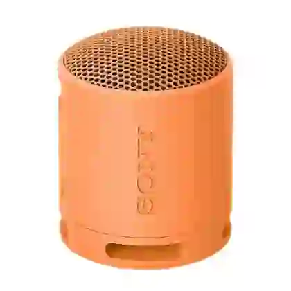 Loa Bluetooth Sony SRS-XB100 Extra Bass 1