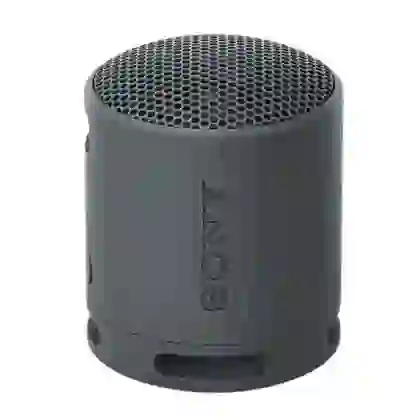Loa Bluetooth Sony SRS-XB100 Extra Bass 1