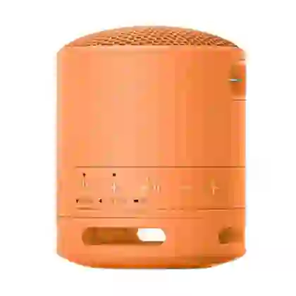 Loa Bluetooth Sony SRS-XB100 Extra Bass 2