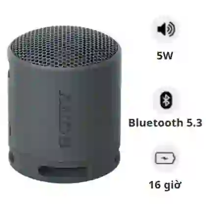 Loa Bluetooth Sony SRS-XB100 Extra Bass 1