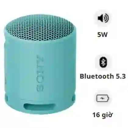 Loa Bluetooth Sony SRS-XB100 Extra Bass 1