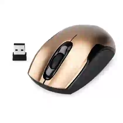 Chuột không dây Newmen F266 3