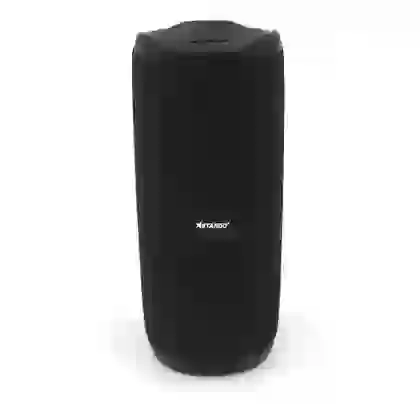 Loa Bluetooth StarGO P10 1