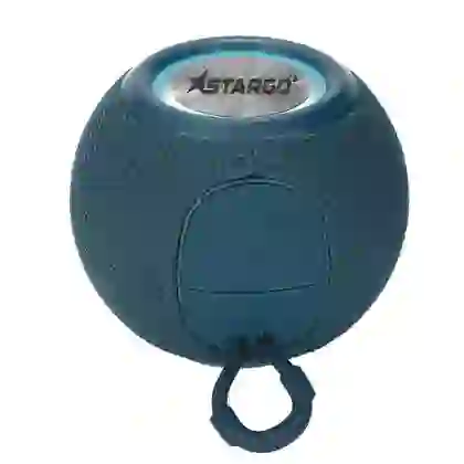 Loa Bluetooth StarGO P10 1