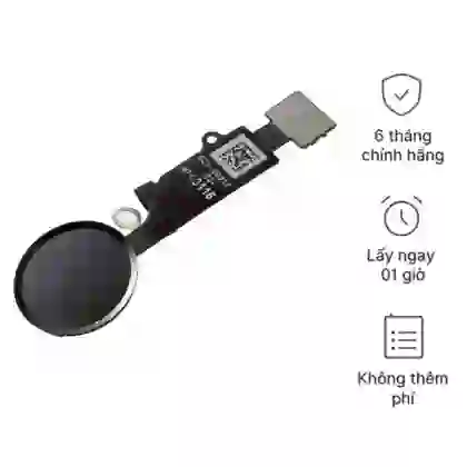 Thay cáp nút home iPhone 6 Plus hãng Safety 1