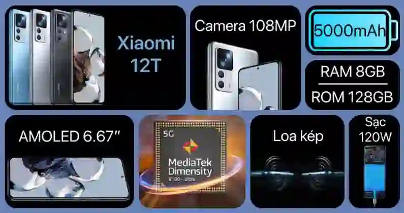 wp-content/uploads/images/12t-1.png