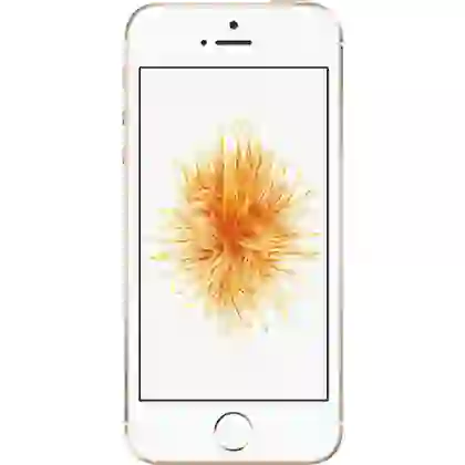Apple iPhone SE 64GB cũ 1