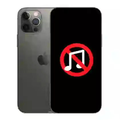 Sửa âm thanh iPhone 12 Pro 1