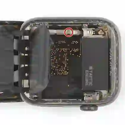 wp-content/uploads/images/products/244517/thay-pin-apple-watch-series-5-17636319853941.png