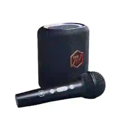 Loa karaoke Mini Alpha Works Sonik Plus (1MIC) 2