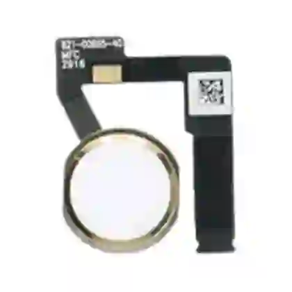 wp-content/uploads/images/products/261352/thay-cap-home-ipad-air-3-17653007728546.jpg