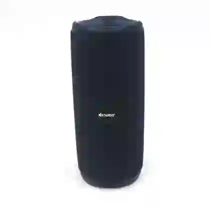 Loa Bluetooth StarGO P10 1