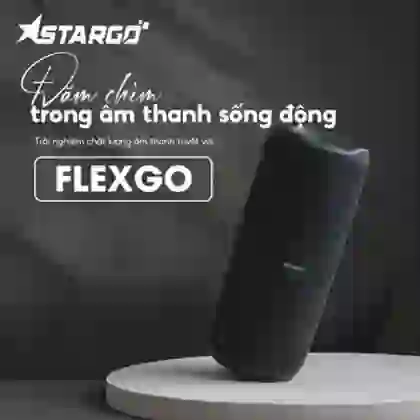 wp-content/uploads/images/products/261688/loa-bluetooth-stargo-flex-go-17869572863702.jpg