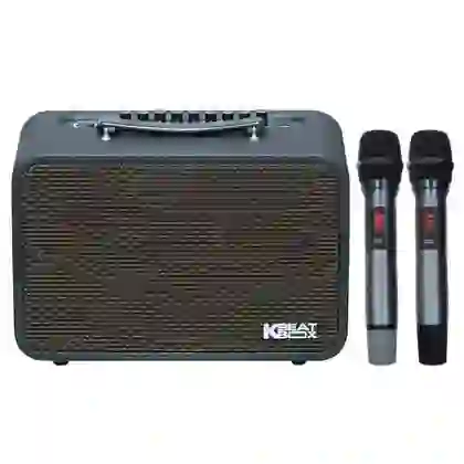 wp-content/uploads/images/products/263279/loa-karaoke-xach-tay-acnos-cps-16s-17703128994733.jpg