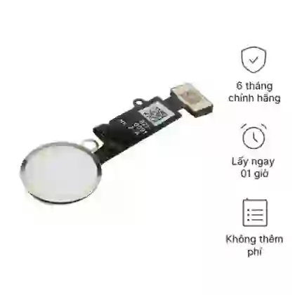 Thay cáp nút home iPhone 6 Plus hãng Safety 1