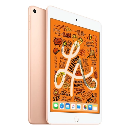 Sửa hiển thị iPad Mini 5 3