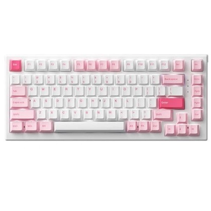 Bàn phím cơ AKKO Monsgeek MG75 Prunus Lannesiana 3
