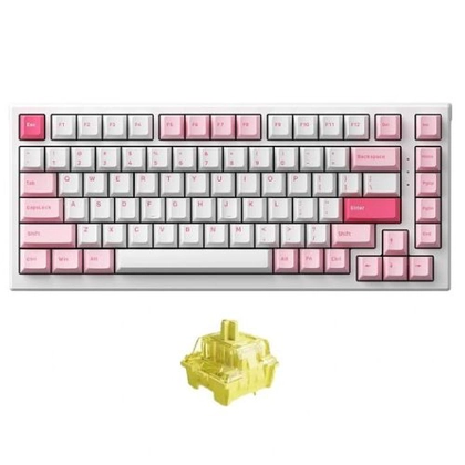 Bàn phím cơ AKKO Monsgeek MG75 Prunus Lannesiana 1