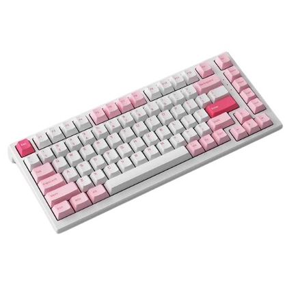 Bàn phím cơ AKKO Monsgeek MG75 Prunus Lannesiana 3