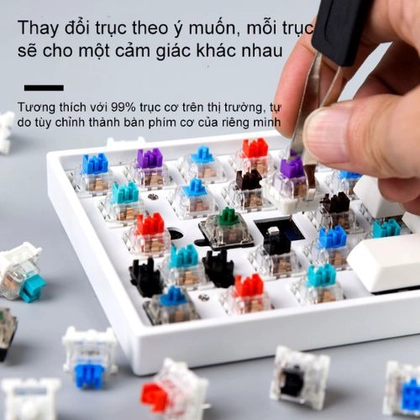 Bàn phím cơ không dây Newmen MAMA SK01 5