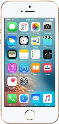 Apple iPhone SE 16GB cũ 1