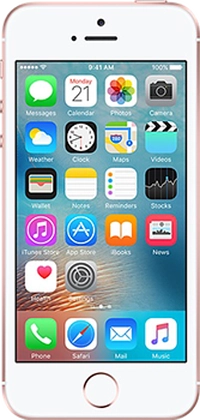 Apple iPhone SE 16GB cũ 1