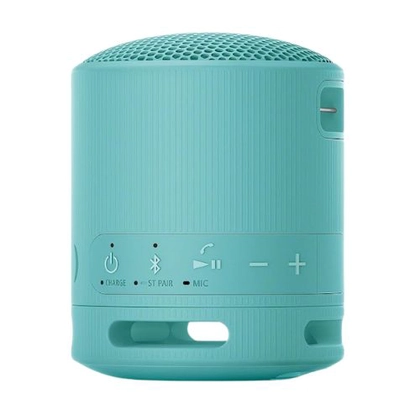 Loa Bluetooth Sony SRS-XB100 Extra Bass 2